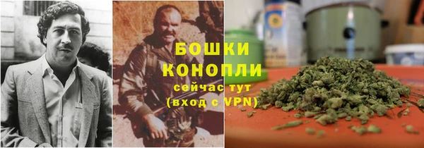 прущие крисы Михайловка