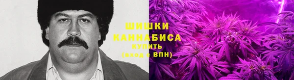 соль ск Михайлов
