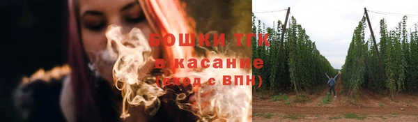 соль ск Михайлов