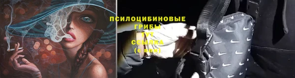 прущие крисы Михайловка