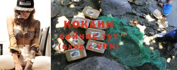 соль ск Михайлов