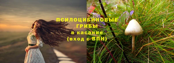 соль ск Михайлов