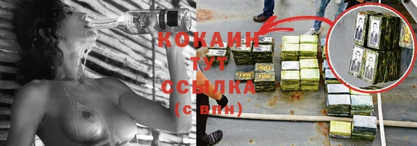 соль ск Михайлов