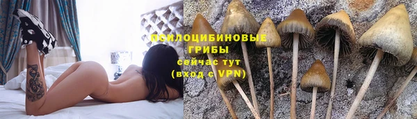 соль ск Михайлов