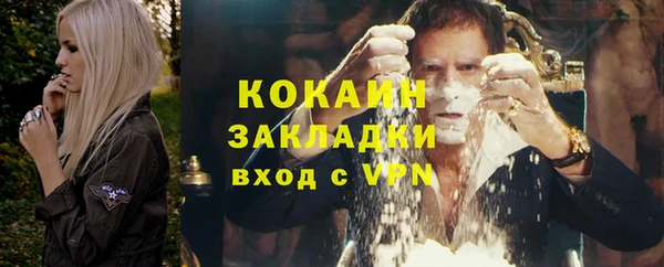 соль ск Михайлов