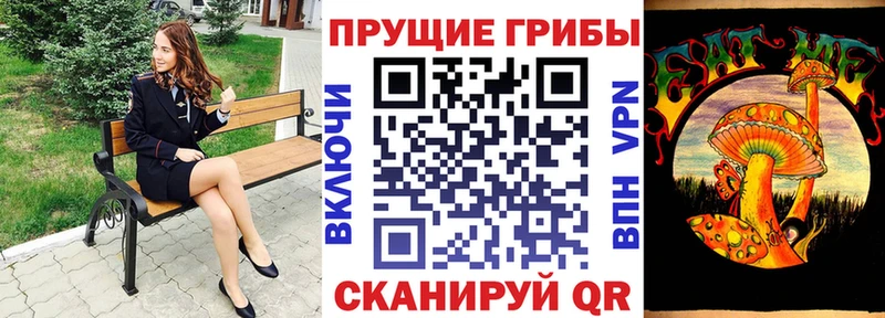 Галлюциногенные грибы ЛСД  Купить где  Саянск 